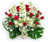 Red White Basket